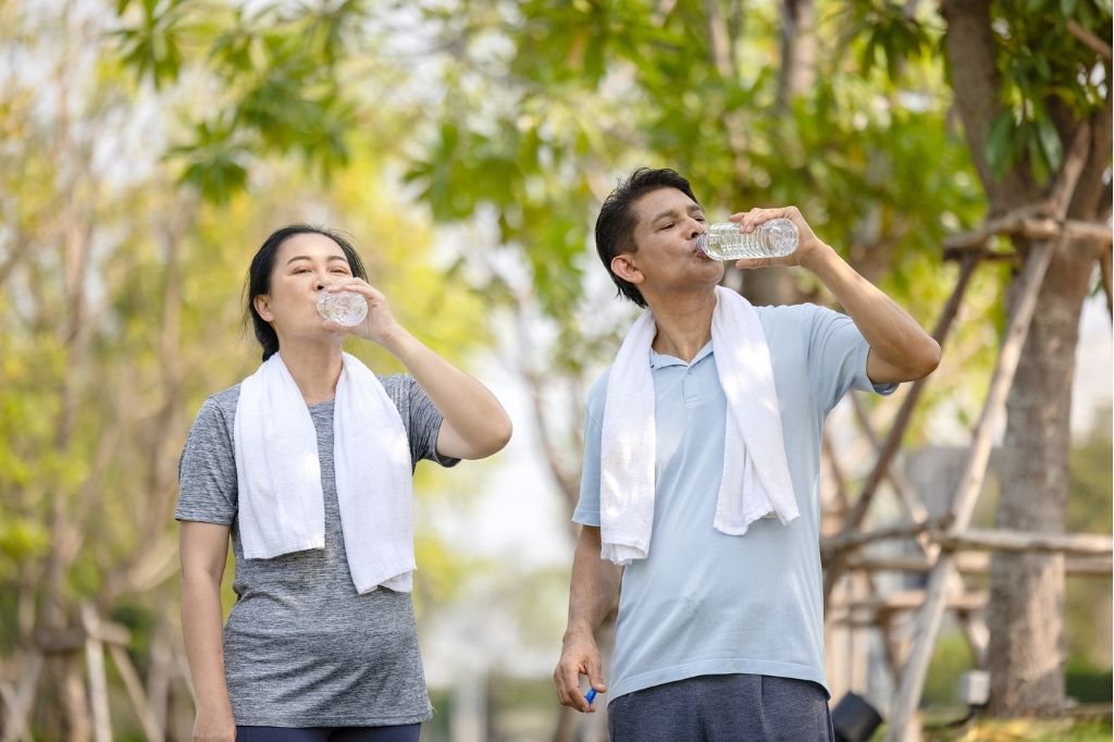 the importance of hydration nutrition and exercise to help prevent dementia